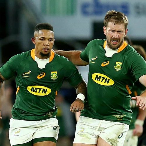 Nienaber: Bomb Squad difference between victory, defeat for Boks