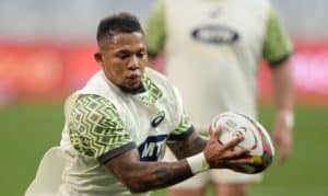 Read more about the article Jantjies, Le Roux back for Boks against Scots