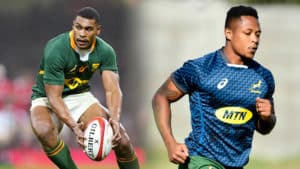 Read more about the article Bok injuries: Willemse doubtful, Nkosi available against Scotland