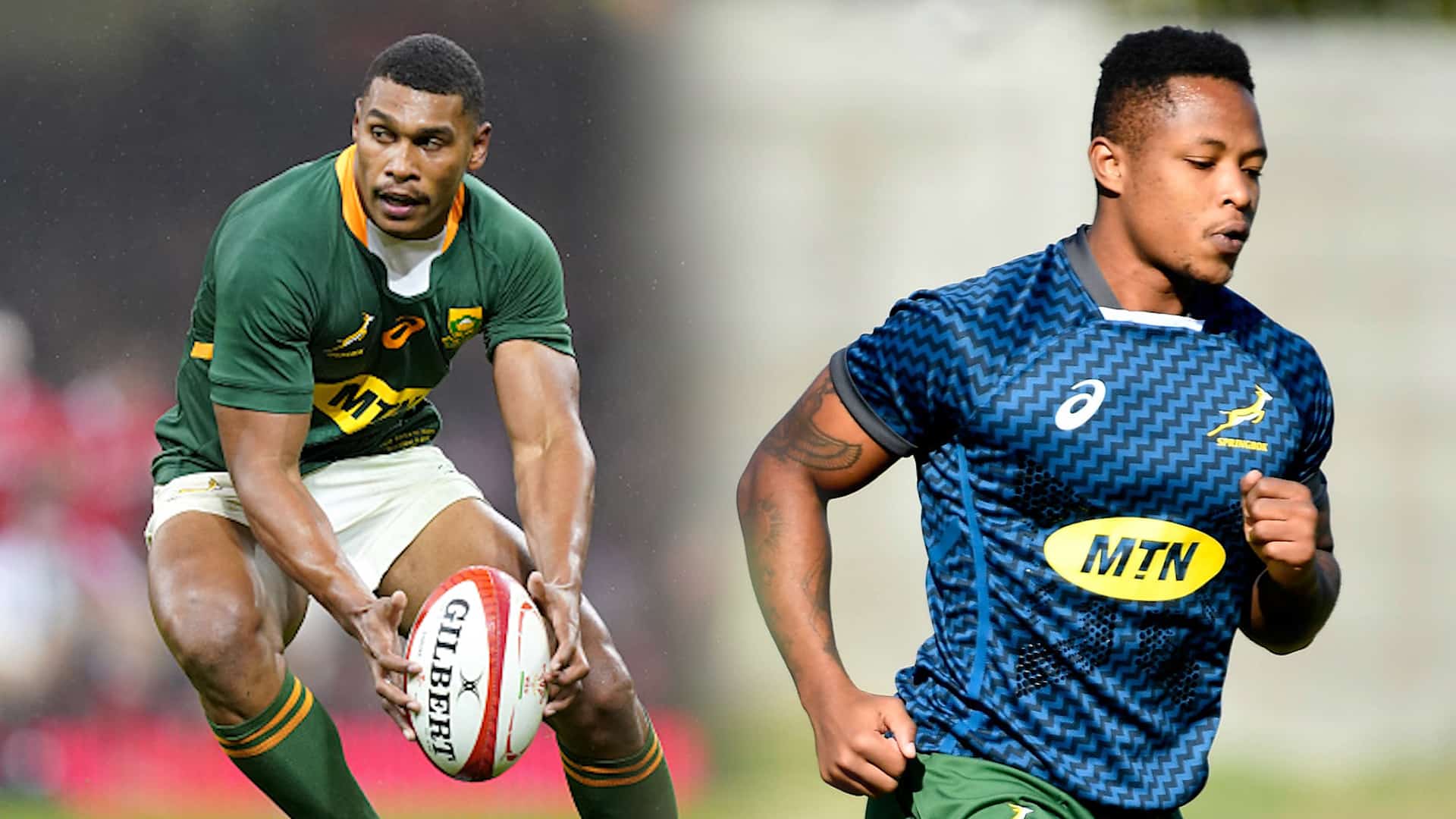 You are currently viewing Bok injuries: Willemse doubtful, Nkosi available against Scotland