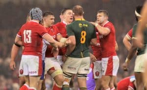 Read more about the article Boks set to face Wales four times in 2022