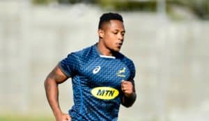 Read more about the article Nkosi still not with Boks, likely to miss Wales Test