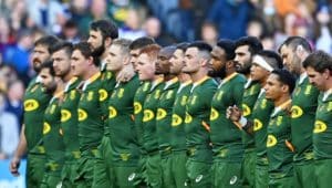 Read more about the article Boks snubbed for World Rugby award