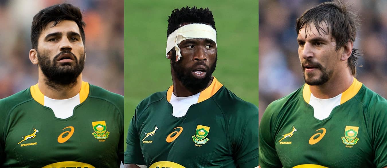 You are currently viewing Bok stars lead SA Rugby Awards nominations