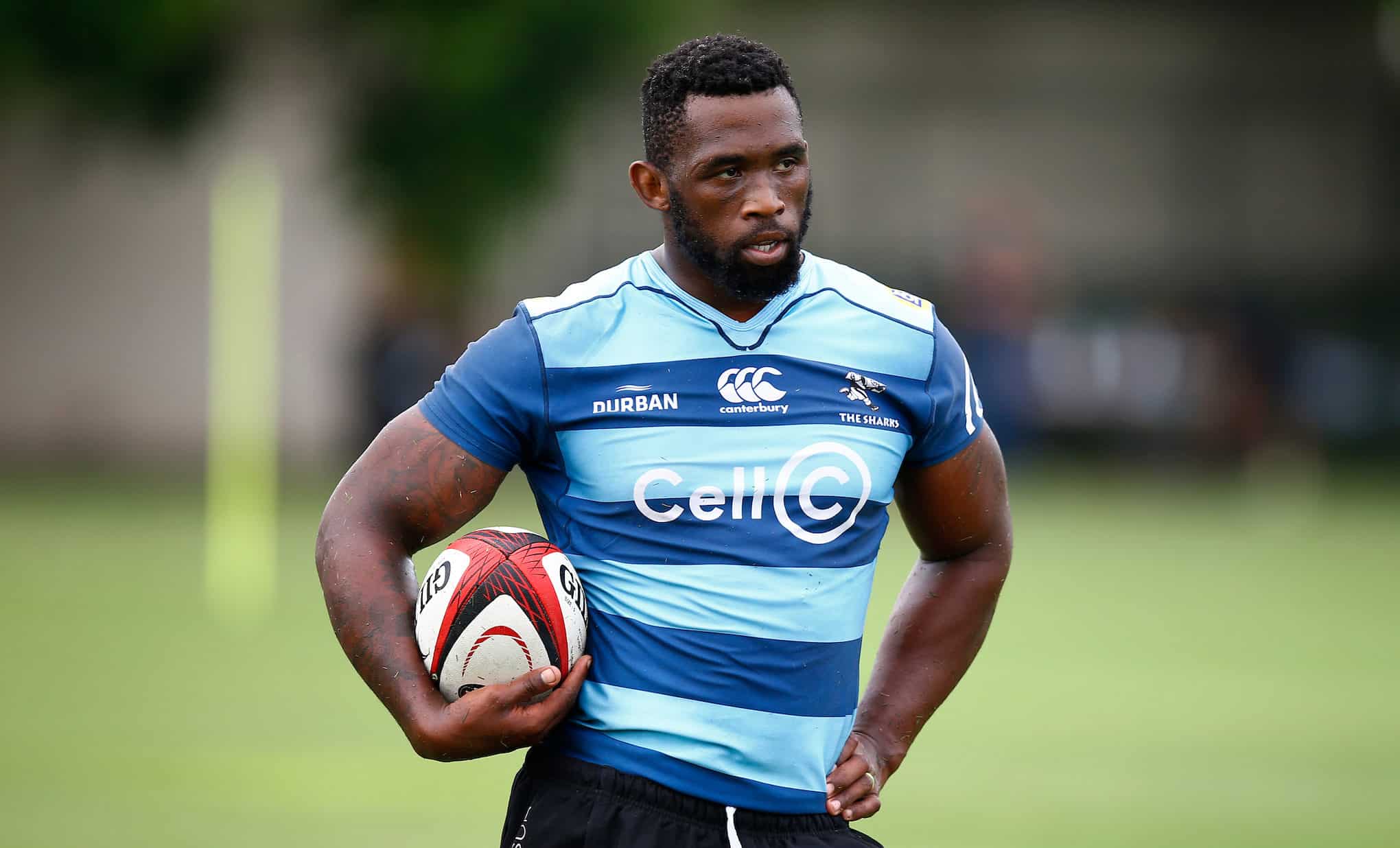 You are currently viewing Kolisi: Sharks move helped me get back to my best