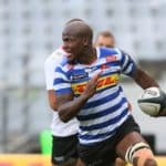 Dayimani helps WP sink Lions