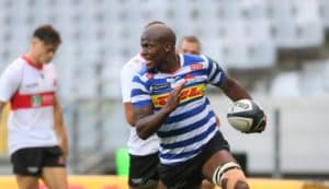 Read more about the article Dayimani helps WP sink Lions