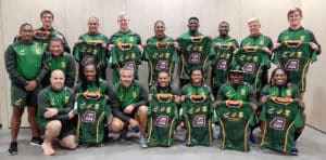 Read more about the article Davids inspires Blitzboks comeback