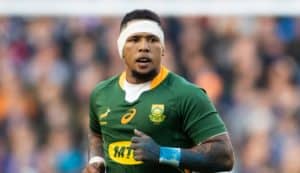 Read more about the article Bok flyhalf goes under the knife for shoulder injury