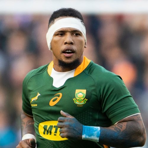 Bok flyhalf goes under the knife for shoulder injury