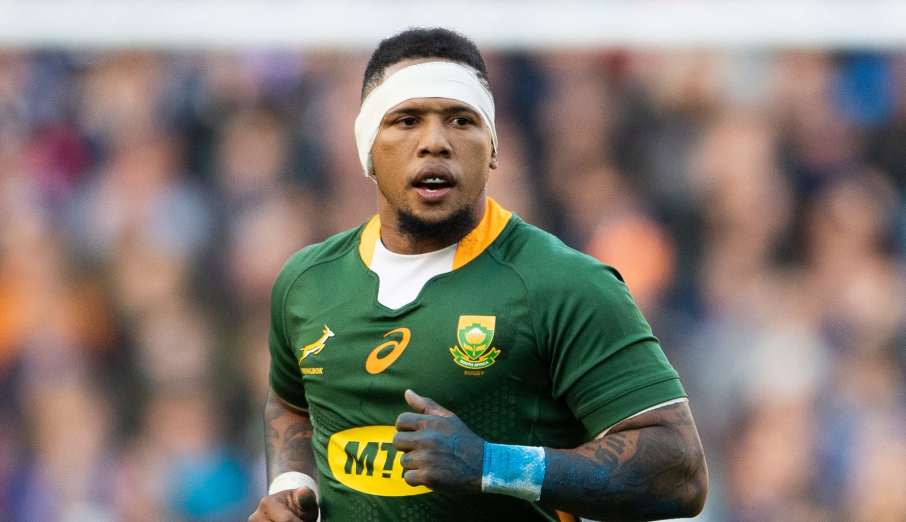 You are currently viewing Bok flyhalf goes under the knife for shoulder injury