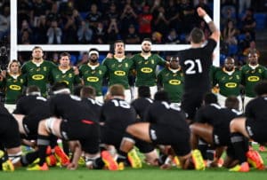 Read more about the article Boks to face All Blacks in two home Tests
