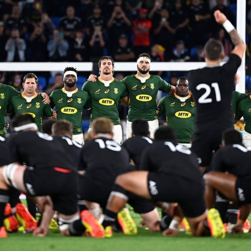 Boks to face All Blacks in two home Tests