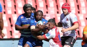 Read more about the article Stormers blow away toothless Lions
