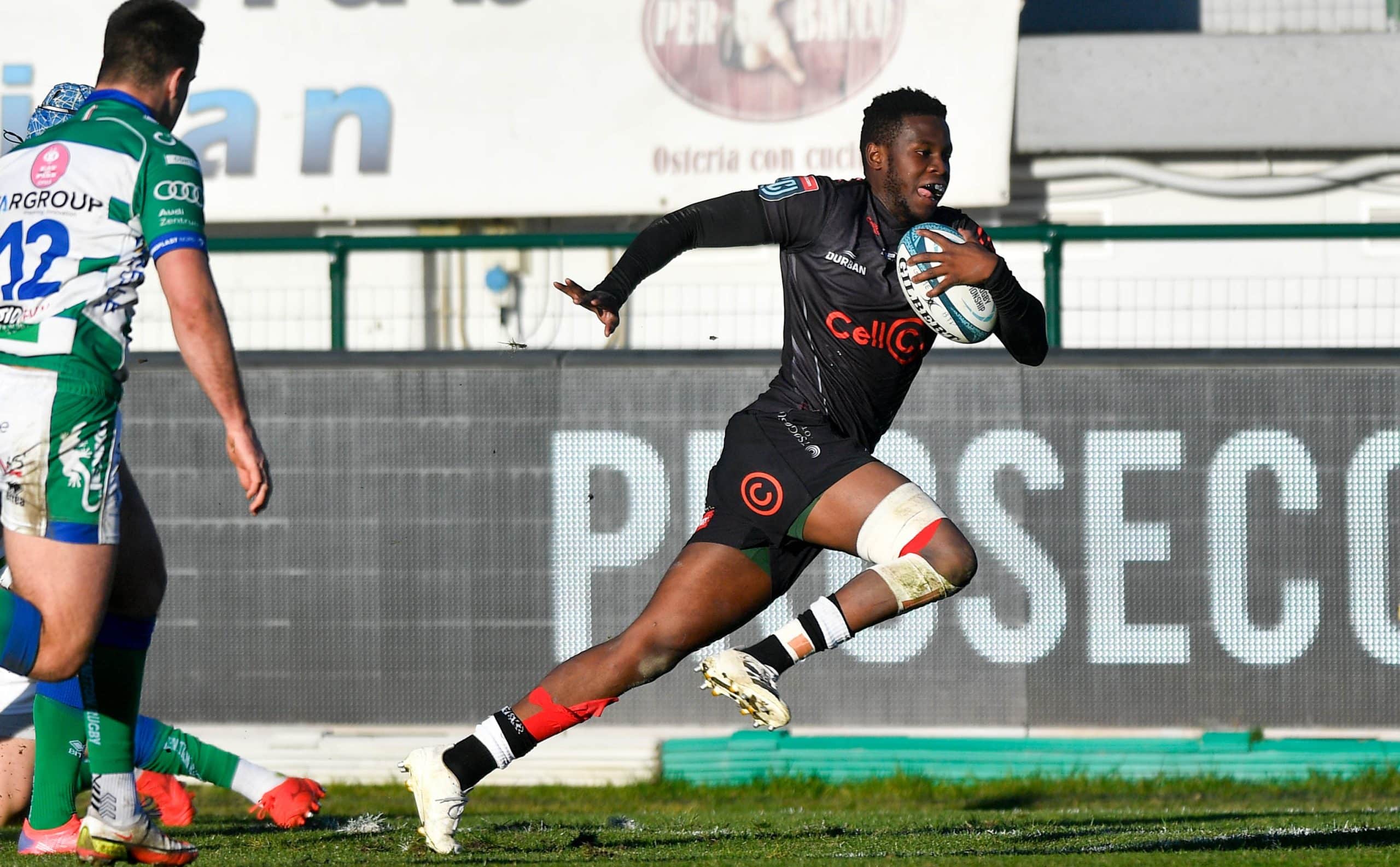 You are currently viewing Fassi shines as Sharks claim bonus-point victory over Benetton