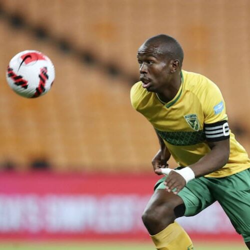 Sibisi: I always take a step back and observe