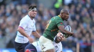 Read more about the article ‘Celtic nations no match for Boks’