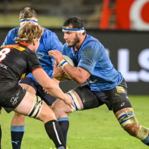 Dobson: Stormers vs Bulls will be a classic