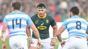 Read more about the article Jake: Coetzee ticks every Bok box