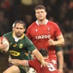 CARDIFF, WALES - NOVEMBER 06: Cobus Reinach of South Africa is tackled by Tomos Williams during the Autumn Nations Series match between Wales and South Africa at the Principality Stadium on November 06, 2021 in Cardiff, Wales. (Photo by David Rogers/Getty Images)