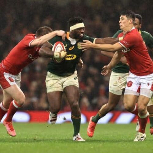 Bok coach: Wales are desperate