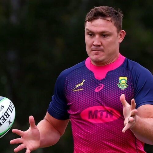 Wiese not giving up Bok spot to Roos