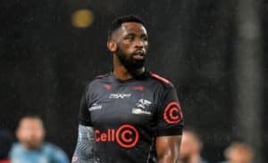 Read more about the article Sharks boss warns of SA player burnout