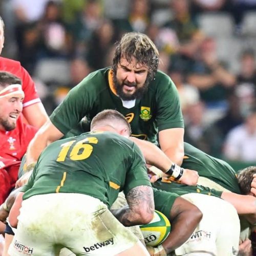 Jake: Bok gameplan is too predictable