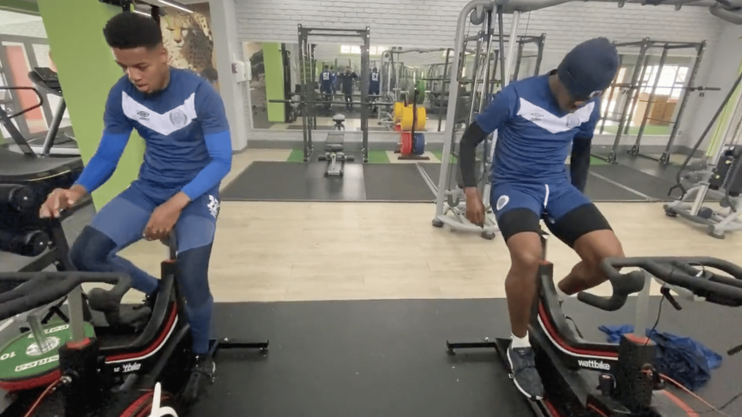 You are currently viewing Watch: Gabuza puts Webber through intense pre-season workout