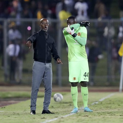 Zwane: We need a striker that will give us a different dimension