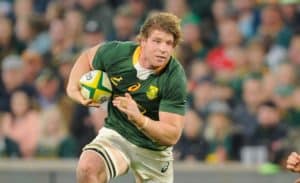 Read more about the article Bok shock: Roos omitted from tour squad