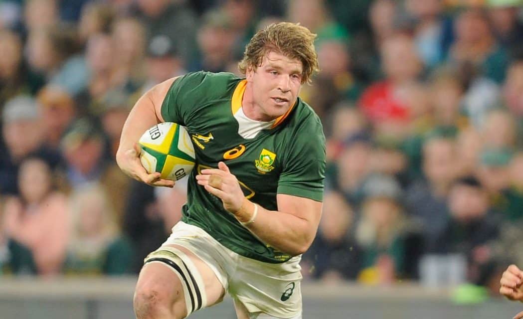 You are currently viewing Bok shock: Roos omitted from tour squad