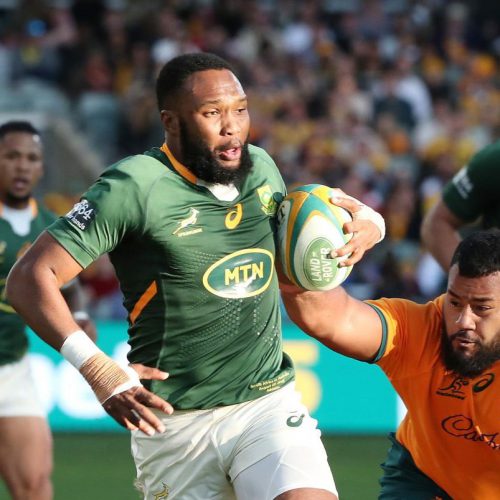 Bok backups ‘as good as’ Pollard, Am