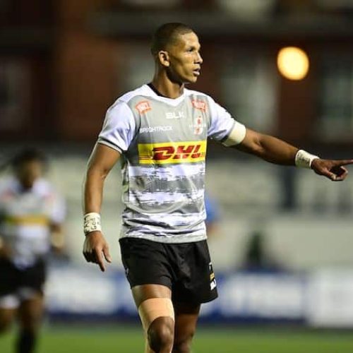 Manie, Sacha, Roos called up to Boks training camp