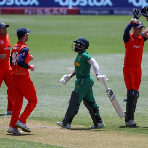 CSA saddened by Proteas early exit from T20 World Cup