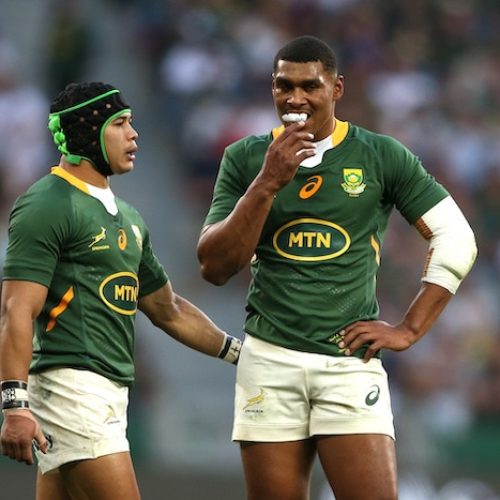 Kolbe returns for Springboks against Ireland