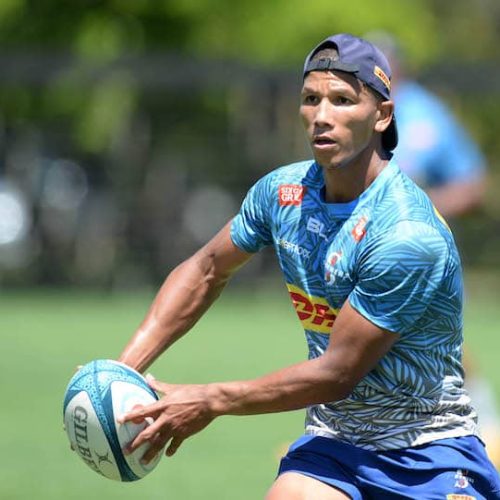 Boks tweak squad for France Test with Libbok on bench