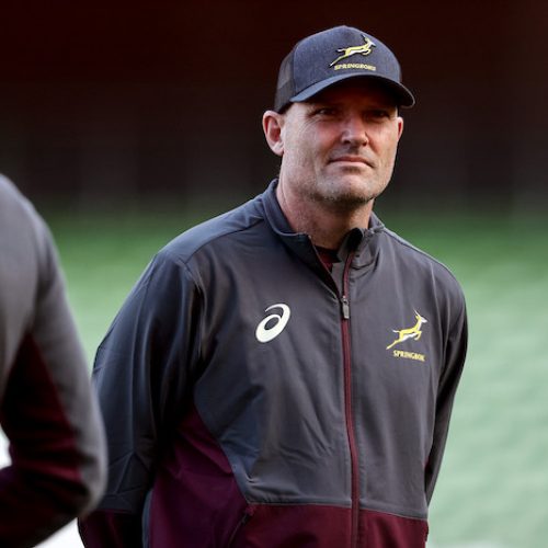 Nienaber call up six players to join Springbok squad in England
