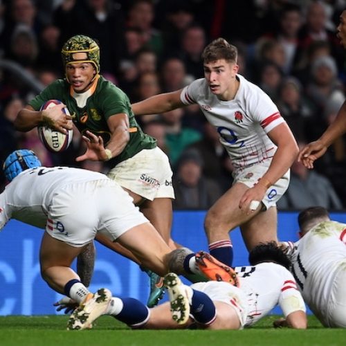 Boks lead SA Rugby Awards nominations for 2022