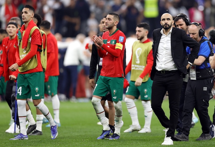 You are currently viewing Regragui hails Morocco’s effort after France defeat