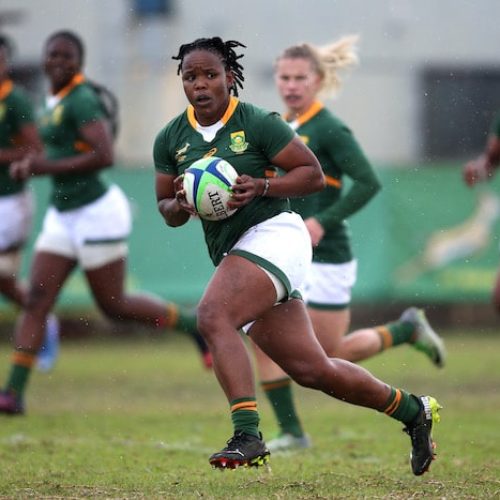 Springbok Women’s Sevens start Challenger Series preparations