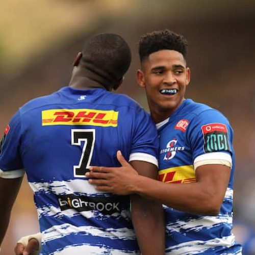 Sacha to make Stormers bow against London Irish