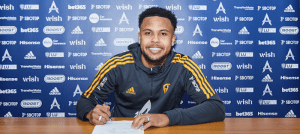 Read more about the article Leeds complete move for McKennie on loan from Juventus