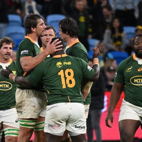 Boks kick into gear with three-week camp