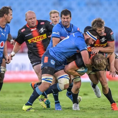 Burger believes talented Vodacom Bulls will turn the corner