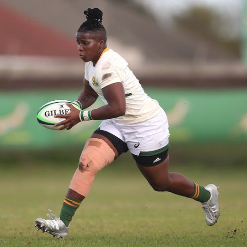 Familiar faces return to Springbok Women squad for Africa Cup