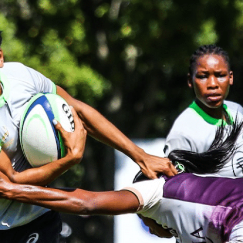 Four debutants in Springbok Women team to face Canada