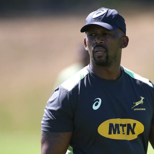 Springbok coaches renew contracts for four years