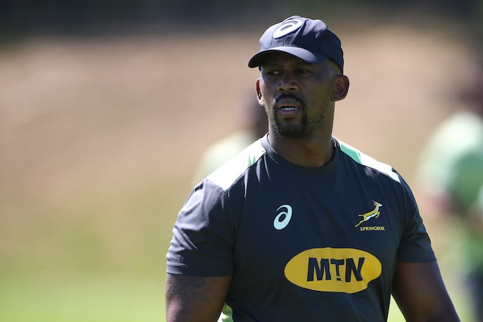 You are currently viewing Springbok coaches renew contracts for four years
