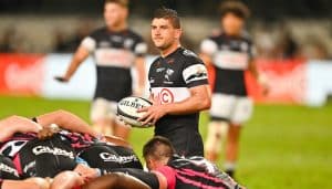Read more about the article Sharks prepare for fight against Griquas